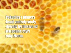 Pokud by z planety Země zmizely včely